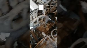 Замена сцепления на хундай акцент без снятия кпп