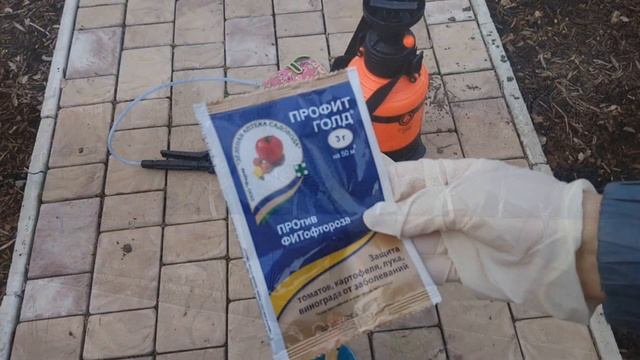 ЧТО С РОЗАМИ?/БОЛЕЗНИ РОЗ- ПЕРОНОСПОРОЗ, ИНФЕКЦИОННЫЙ ОЖОГ/ВЕСЕННЯЯ ОБРАБОТКА РОЗ смотреть онлайн