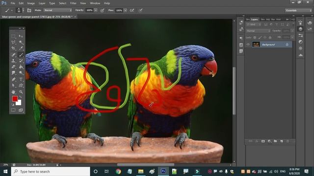 How to use History Brush tool using photoshop смотреть онлайн