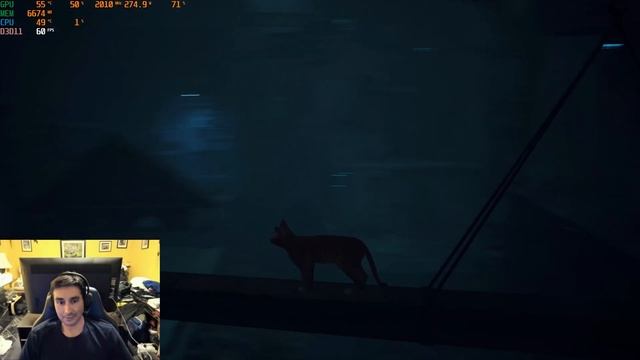 Stray 4K Max Settings PC Game EVGA RTX 3090 Ti FTW3 Ultra & AMD Ryzen 9 5950X CPU. смотреть онлайн