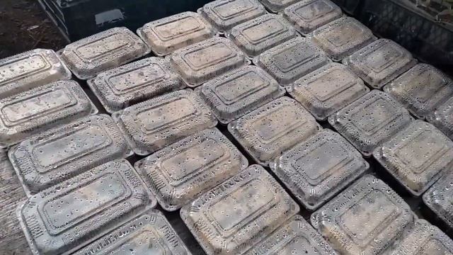Краткий обзор растений посаженных у нас в теплице смотреть онлайн