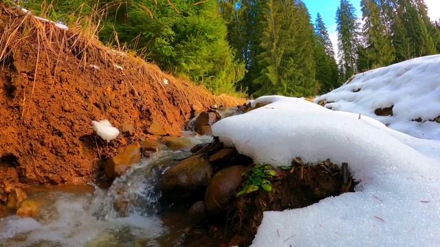 Весна пришла Звуки ручья Звуки леса для сна Успокоить нервы смотреть онлайн