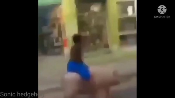 Top 5 bad piggies in real life