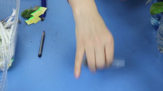 ???Ускоренное разведение глоксиний. Посадка ростками смотреть онлайн