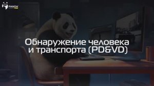 PD&VD (Обнаружение транспорта и человека) | Видеоинструкция по настройке и применению