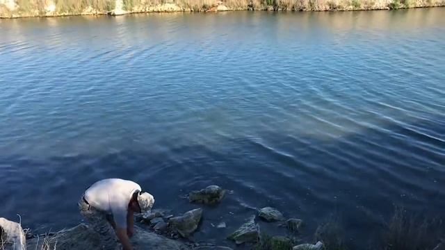 Копаем морских червей смотреть онлайн