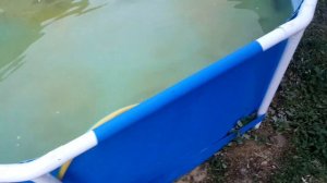 Продолжаем эксперимент, карпы, раки, караси в бассейне! Пробуем сами