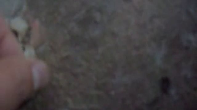 бетоноконтакт Олимп не покупайте смотреть онлайн