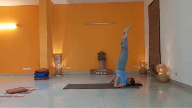 Sivananda Yoga 60 mins Class - Basic and Intermediate Level смотреть онлайн