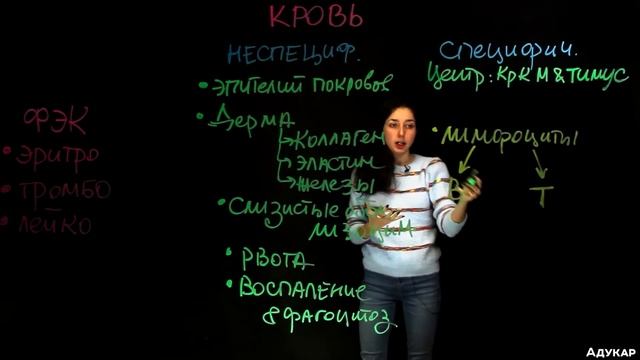 Иммунитет | Биология ЦТ, ЕГЭ смотреть онлайн