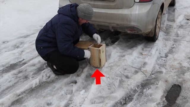 Размеры синичника. Как сделать домик для большой синицы? смотреть онлайн