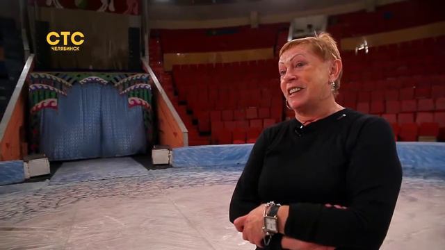 Никакой дрессуры и только дружеские отношения смотреть онлайн