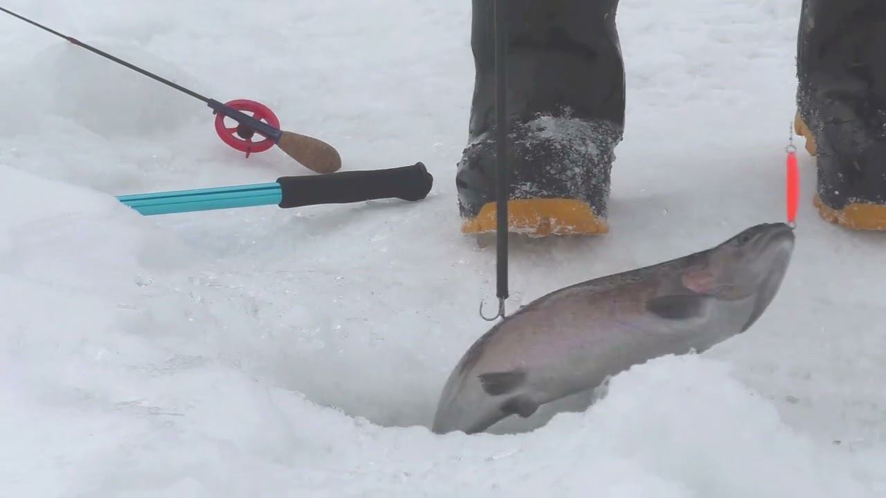 Р.Д.Юрлово. Форелевая зона. смотреть онлайн