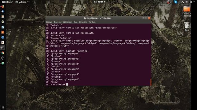 Redis Veritabanı Konfigürasyonu & Veritabanında İşlemler смотреть онлайн