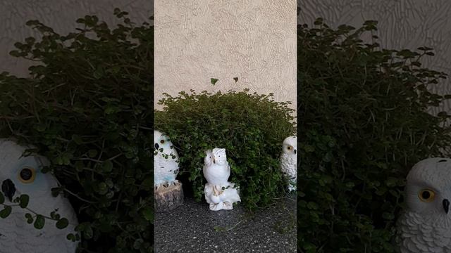 ЧТОБЫ РЕБЕНОК НЕ ПЛАКАЛ В ЯСЛЯХ смотреть онлайн