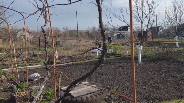 Карантин. Дача, субботний день. смотреть онлайн