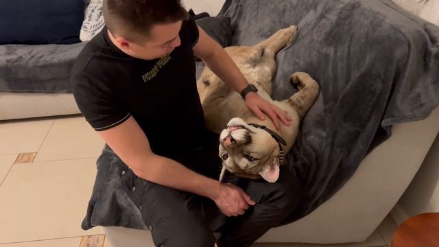 Уговариваем Шухера идти спать. смотреть онлайн