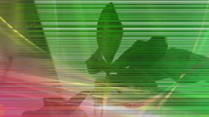 Почему чернеют, желтеют и сохнут листья у кофейного дерева?