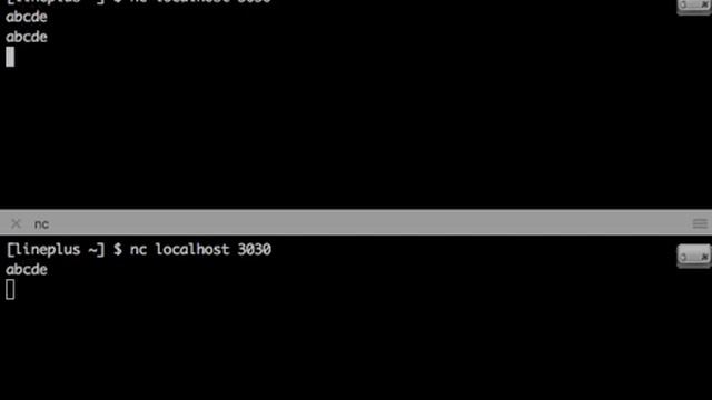 Tcp Echo Server - Testing SingleServer смотреть онлайн