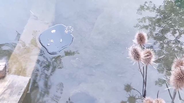 Чистка от веретнической, соборной, церковной, эгрегориальной магии, програмных свеч, опоев, окормов смотреть онлайн