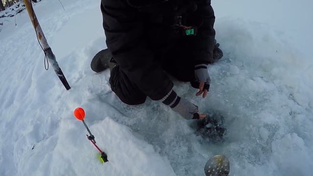 С ТАКОЙ ПЛОТВОЙ И ЯЗЬ НЕ НУЖЕН! Рыбалка в полнолуние! смотреть онлайн