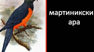 Чёрная книга вымерших животных