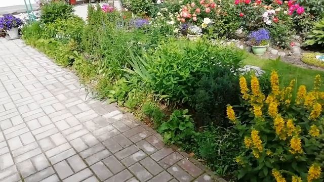 МИКСБОРДЕР Правила создания и подбор растений смотреть онлайн