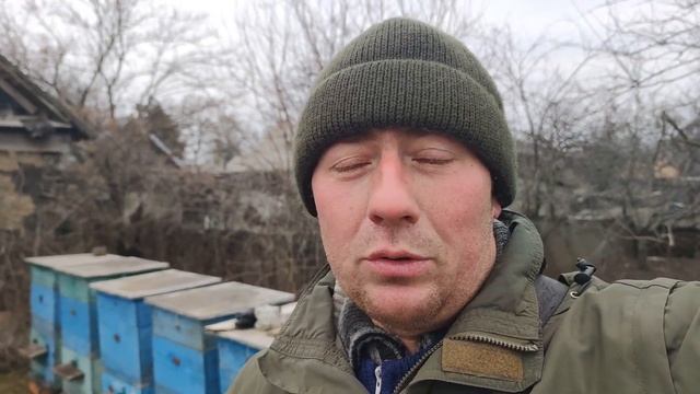Почему активизируются пчелиные матки зимой и начинают сеять ПРИЧИНЫ ☝️?? смотреть онлайн