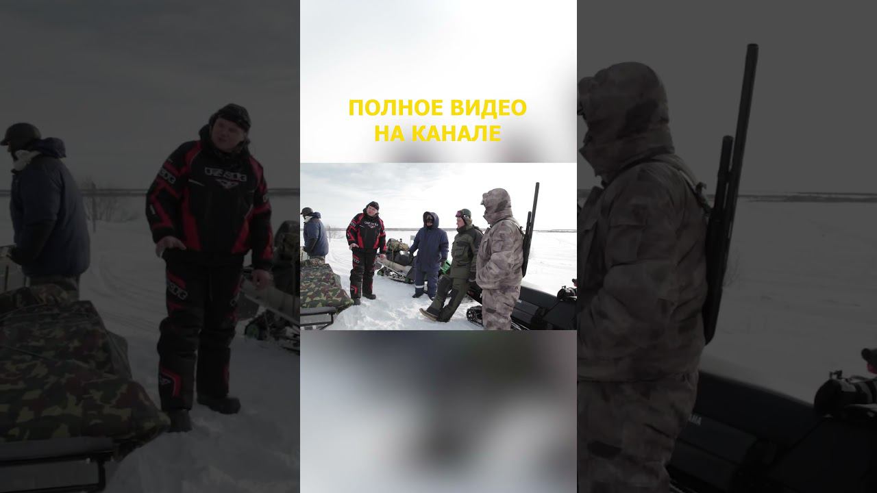2. ЛУЧШИЙ ФИЛЬМ НЕВЕРОЯТНОЕ ПУТЕШЕСТВИЕ ДРУЗЕЙ НА КРАЙНИЙ СЕВЕР Дыхание Арктики Малоземельская тундр смотреть онлайн