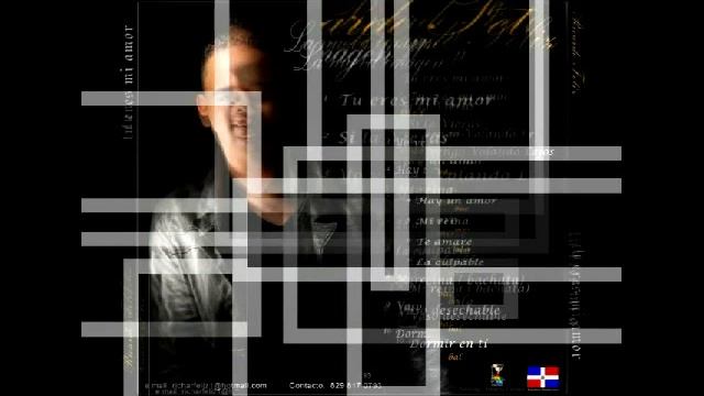 RICARDO FELIZ-TU ERES MI REINA EN BACHATA смотреть онлайн