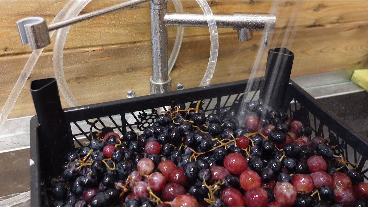 СОК ИЗ 50 кг ВИНОГРАДА С ПОМОЩЬЮ ДРОБИЛКИ И ПРЕССА ДЛЯ СОКА AFFE Много сока и пара секретов смотреть онлайн