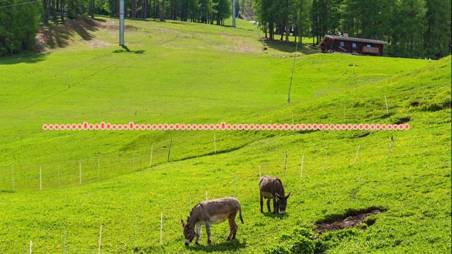 Джамиля Мамакова - Говорить о любви 2024 смотреть онлайн