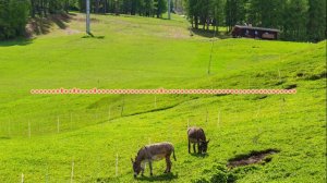 Джамиля Мамакова - Говорить о любви 2024