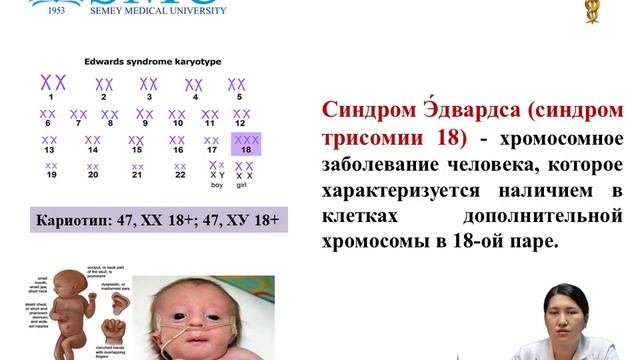 Тұқымқуалаушылық және тіндер смотреть онлайн