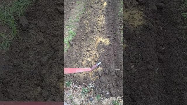 07.05.2021 сею свеклу, морковь, редис. смотреть онлайн