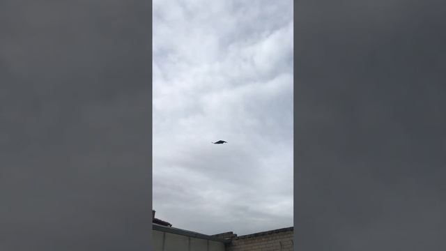 Турецкая Такла в Пятигорске.04.12.23. Бозкирли и её товарищ ?✋ смотреть онлайн