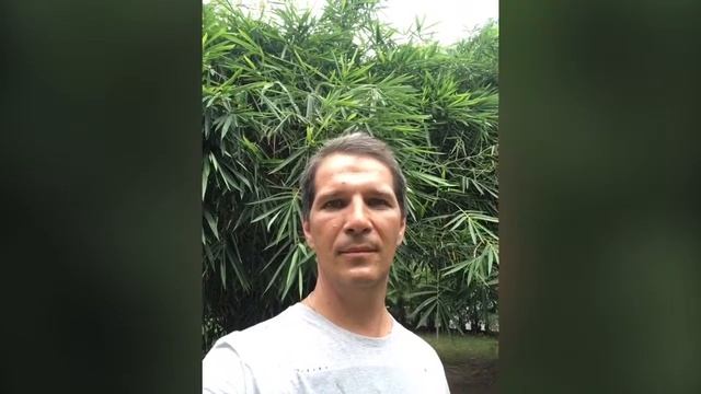 Китай Хайнань Санья дома деревья парки торговые улицы смотреть онлайн