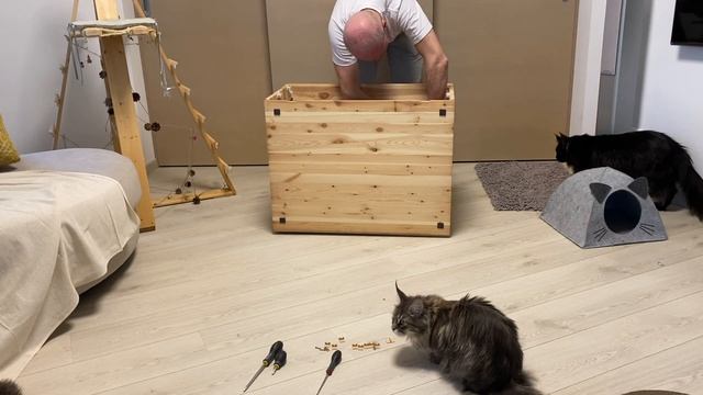 Кошкин Домик Как он Сделан и Как Его Собрать смотреть онлайн