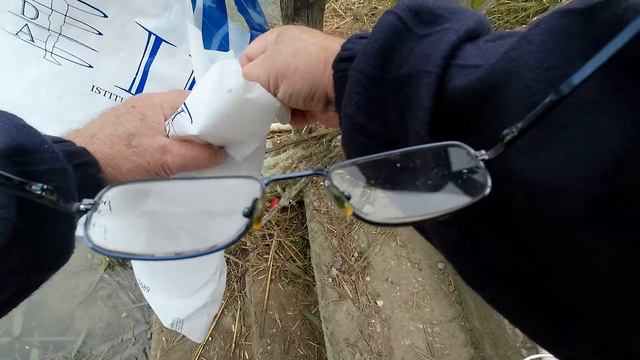 Продолжение 1 ноября как обещал. Лещ не ловится а сомик ловится. смотреть онлайн