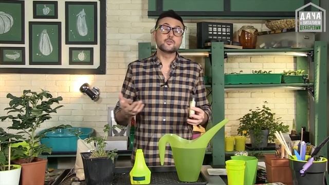 ПАУТИННЫЙ КЛЕЩ КАК ИЗБАВИТЬСЯ ,ДА ЕЩЕ И ПОДКОРМИТЬ РАСТЕНИЯ / СОВЕТЫ ЭКСПЕРТОВ смотреть онлайн