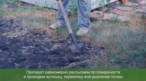 Чудо гранулы Гуми Оми – новинка на рынке удобрений