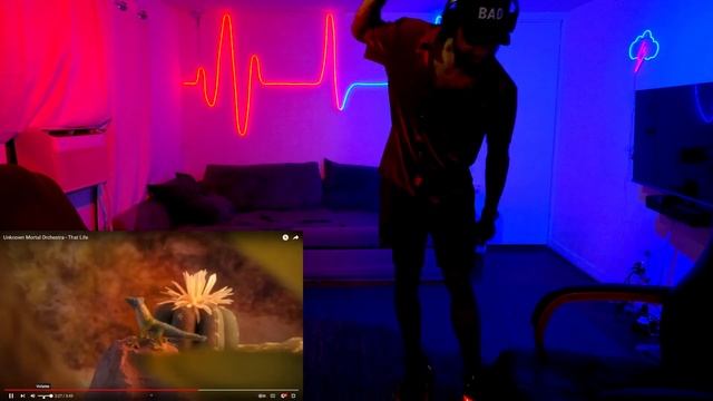 ? Unknown Mortal Orchestra - That Life REACTION смотреть онлайн