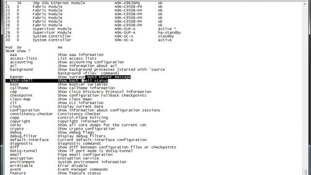 Cisco Nexus 9000 - Initial Configuration смотреть онлайн