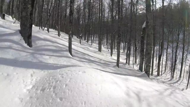 ??Тест, сравнение и рекомендации по сноубайку! ??Test, Comparison And Recommendations For Snowbiker