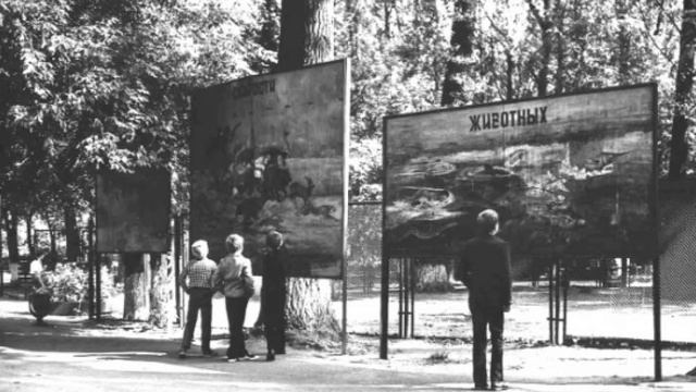 Культурный город. Природа 6 смотреть онлайн