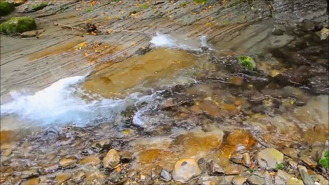 ГОРНАЯ РЕЧКА ХОСТА ВО ВРЕМЯ ДОЖДЯ . СОЧИ смотреть онлайн