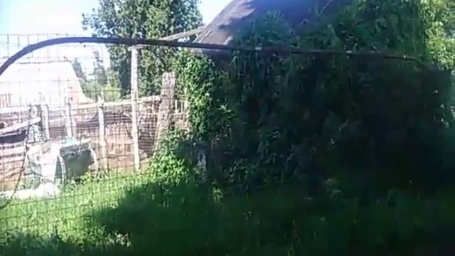 Зоя сказка будущее вопросы ответы смотреть онлайн