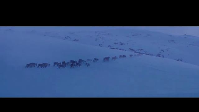 Paul Cardall - Passing Time