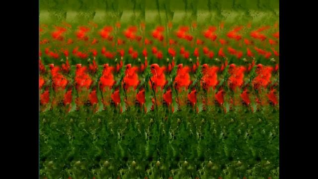 Красивая иллюзия в стереокартинке смотреть онлайн