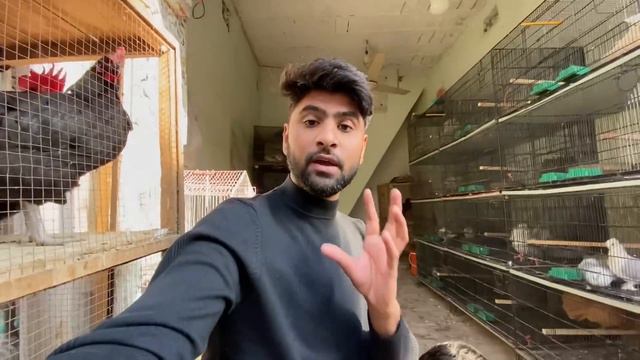 Rabbits K Bachy Agaiy🥰 смотреть онлайн